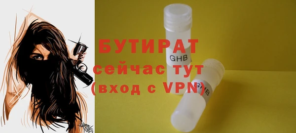 сатива Новодвинск