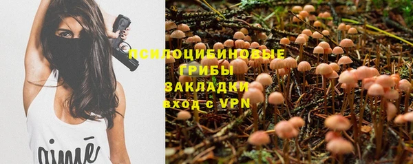 соль ск Нея