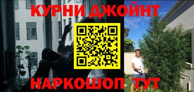 гидра Обь